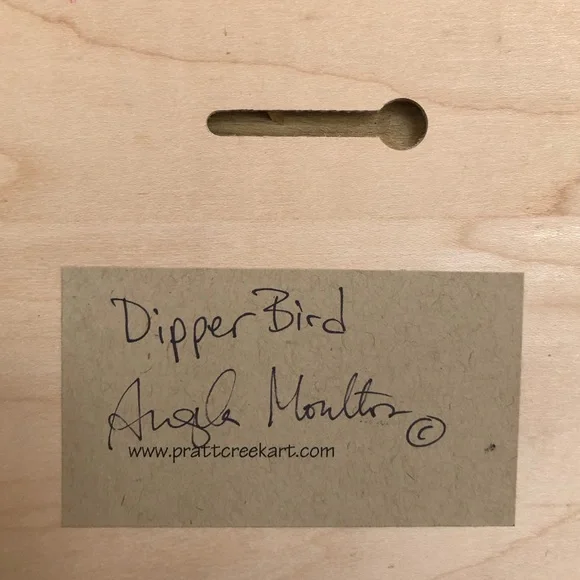 Original oil painting of sweet little Dipper Bird on A-grade composite wood - Picture 6 of 10